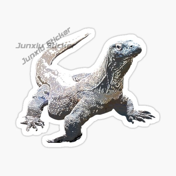 Parc National Komodo île Komod - Car Accessories Bali avis et prix