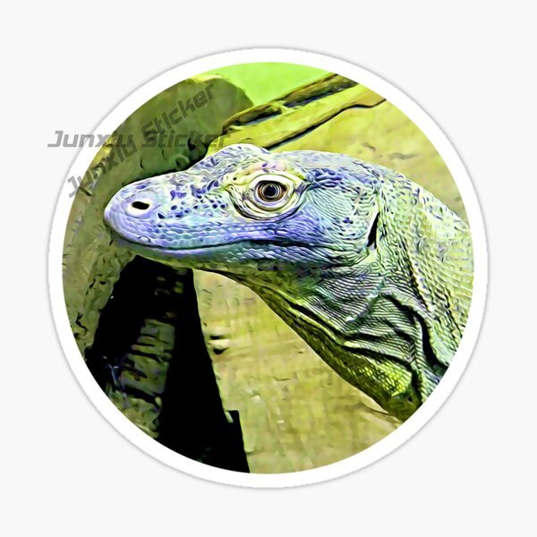 Parc National Komodo île Komod - Car Accessories Bali avis et prix